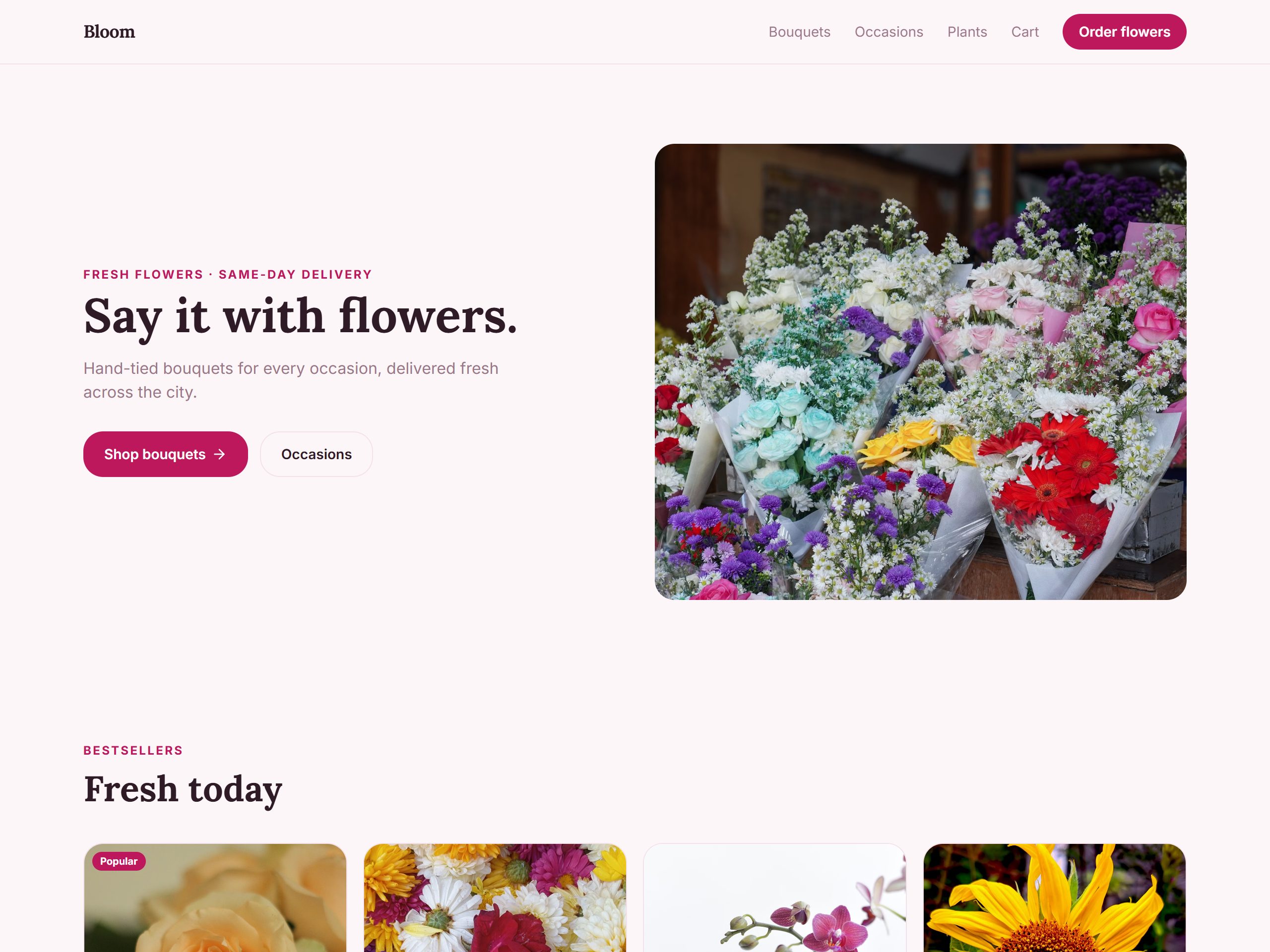 Bloom